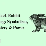 Black Rabbit Meaning