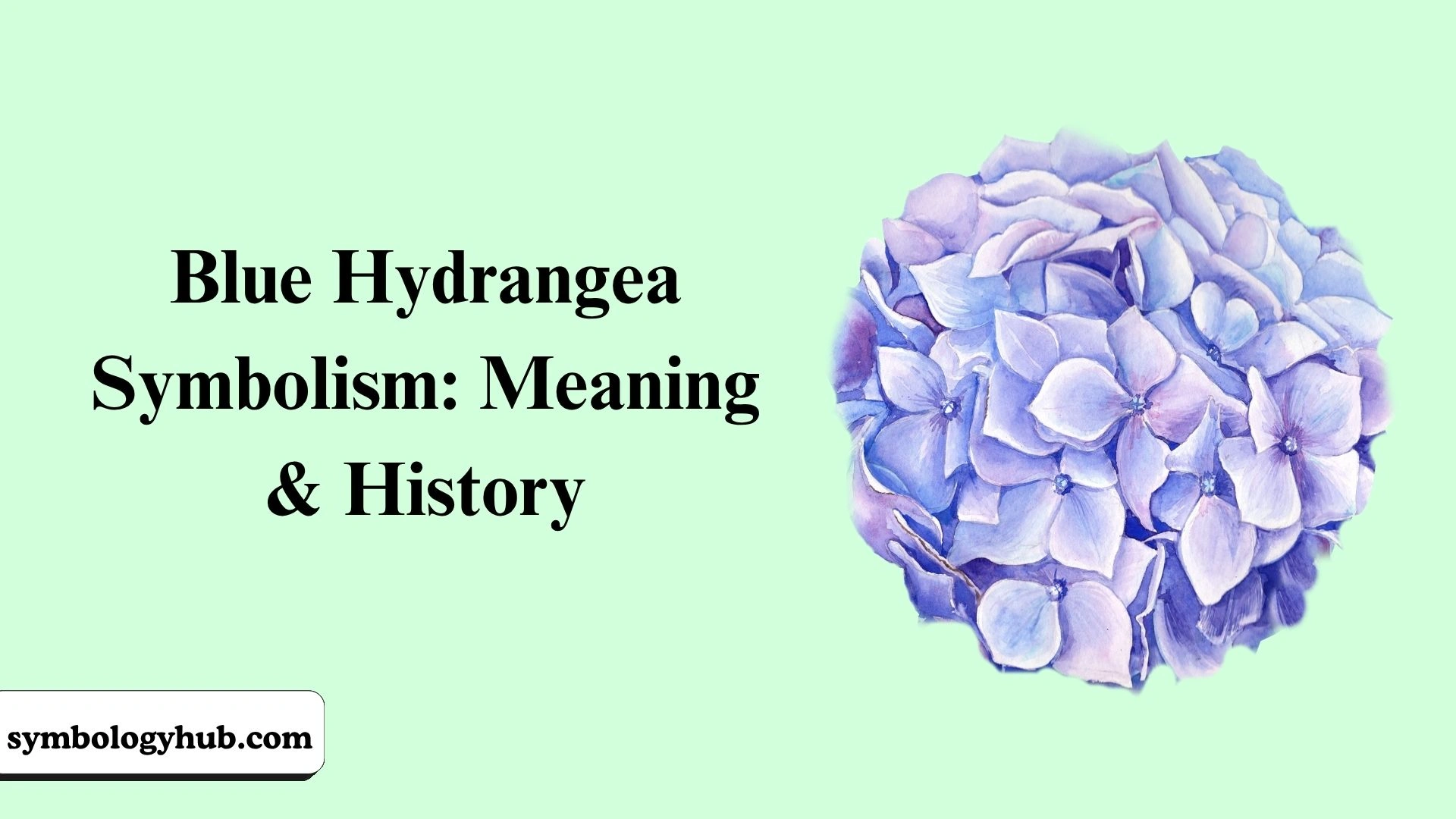 Blue Hydrangea Symbolism