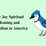 Blue Jay Spiritual Meaning