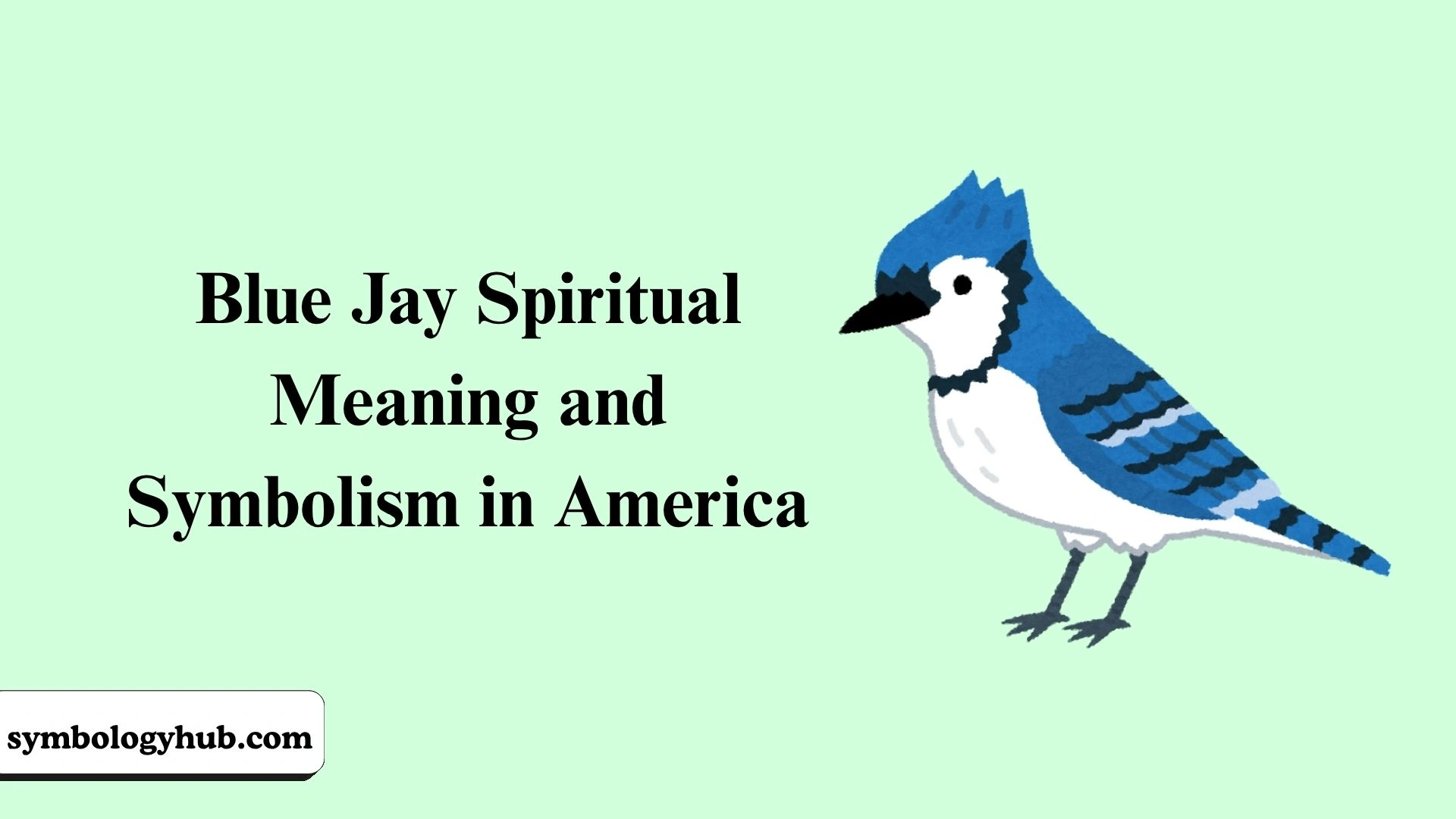 Blue Jay Spiritual Meaning