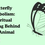 Butterfly Symbolism: Spiritual Meaning Behind the Animal
