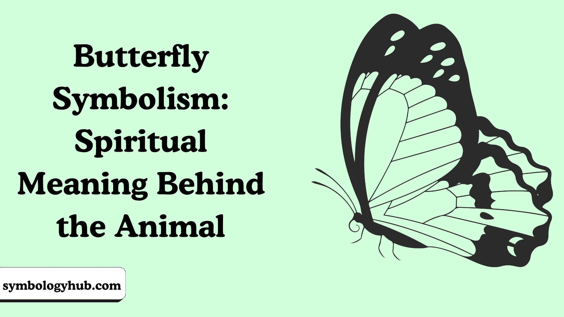 Butterfly Symbolism: Spiritual Meaning Behind the Animal