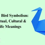 Crane Bird Symbolism