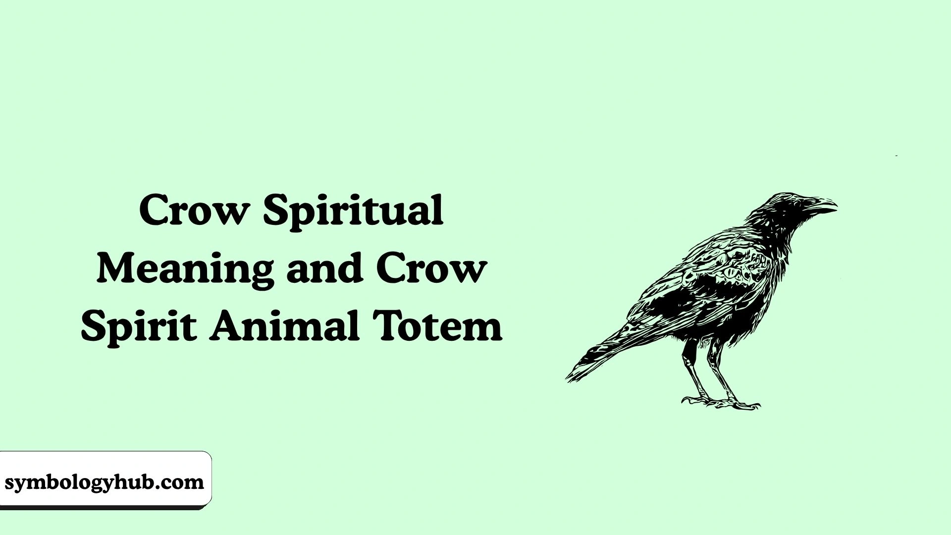 Crow Spiritual Meaning