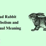 Dead Rabbit Symbolism
