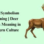 Deer Symbolism Meaning
