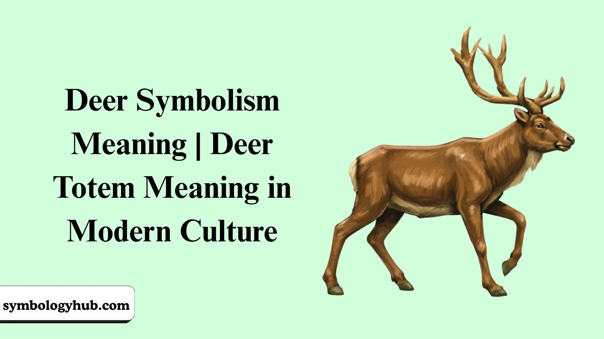 Deer Symbolism Meaning