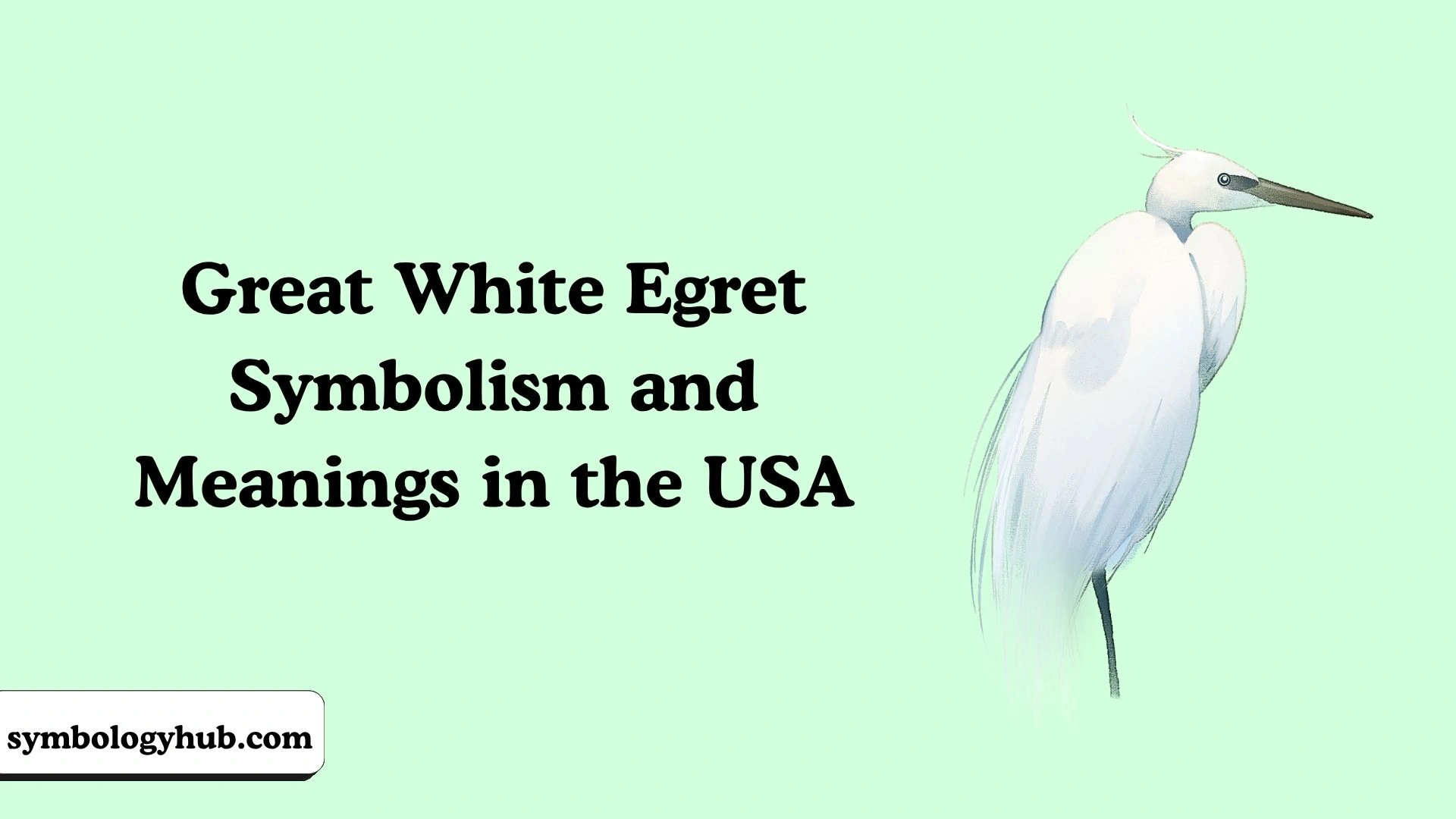Great White Egret Symbolism