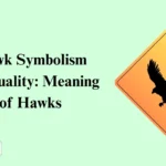Hawk Symbolism Spirituality