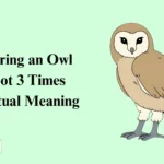 Hearing an Owl Hoot 3 Times Spiritual Meaning