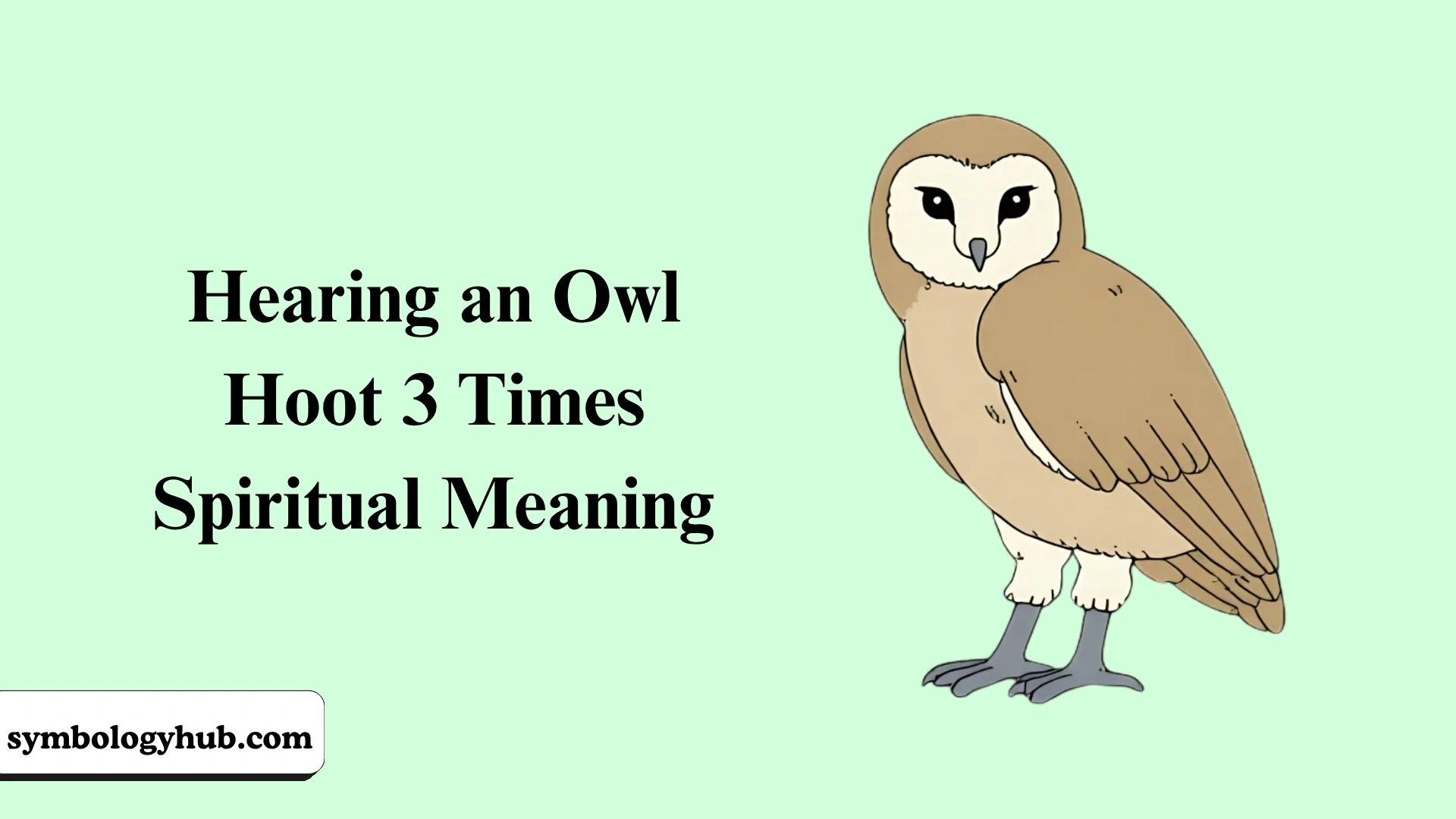 Hearing an Owl Hoot 3 Times Spiritual Meaning