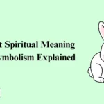 Rabbit Spiritual Meaning