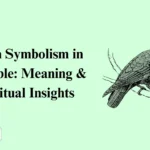 Raven Symbolism in the Bible