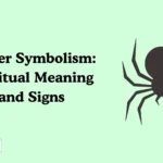 Spider Symbolism