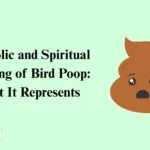 Spiritual Meaning of Bird Poop