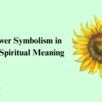 Sunflower Symbolism