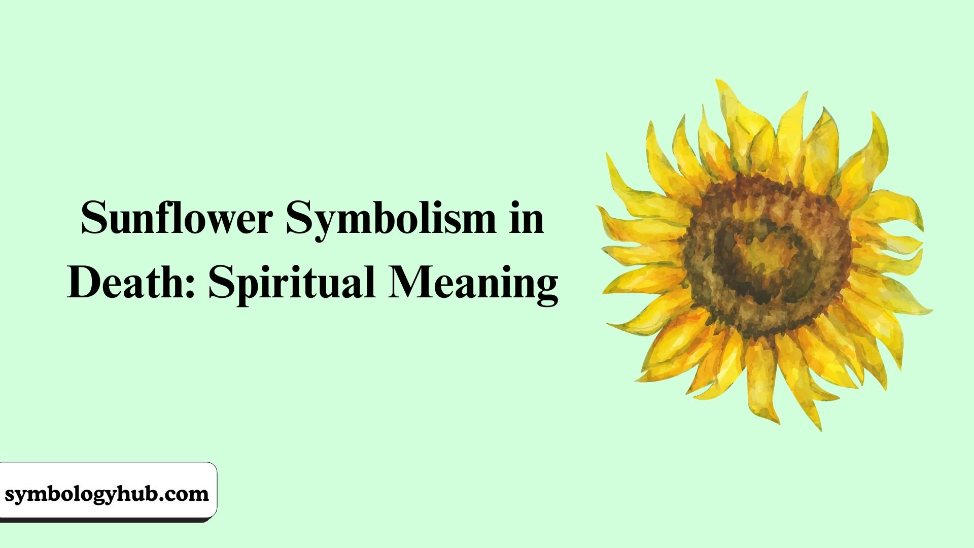 Sunflower Symbolism
