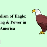 Symbolism of Eagle