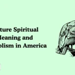Vulture Spiritual Meaning