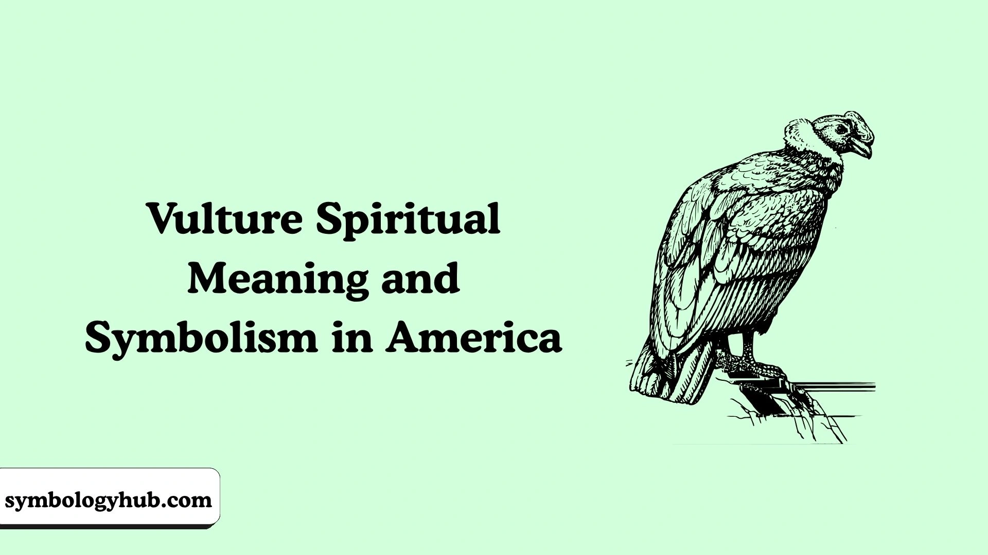 Vulture Spiritual Meaning