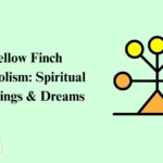 Yellow Finch Symbolism