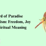 Bird of Paradise Symbolism