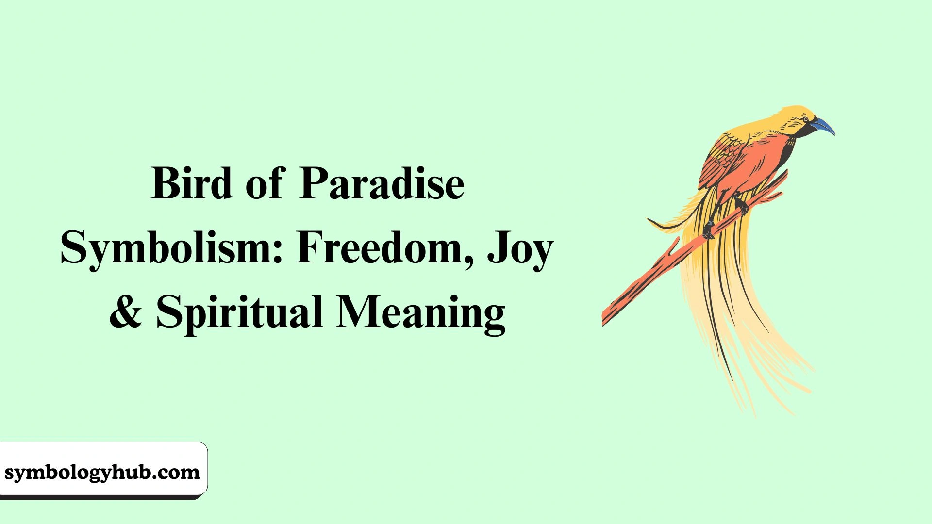 Bird of Paradise Symbolism