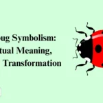 Ladybug Symbolism