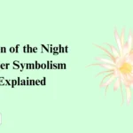 Queen of the Night Flower Symbolism