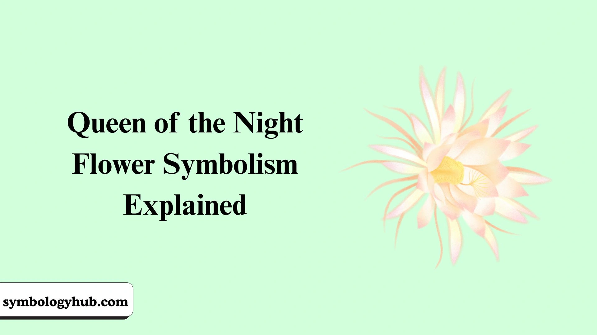 Queen of the Night Flower Symbolism