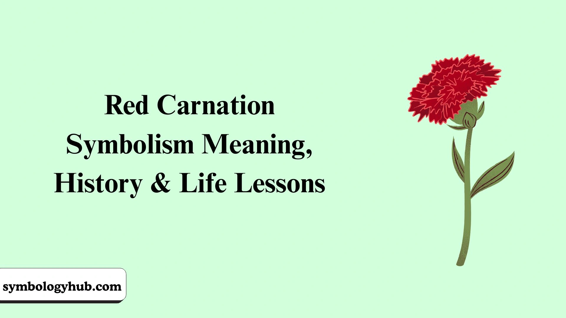 Red Carnation Symbolism