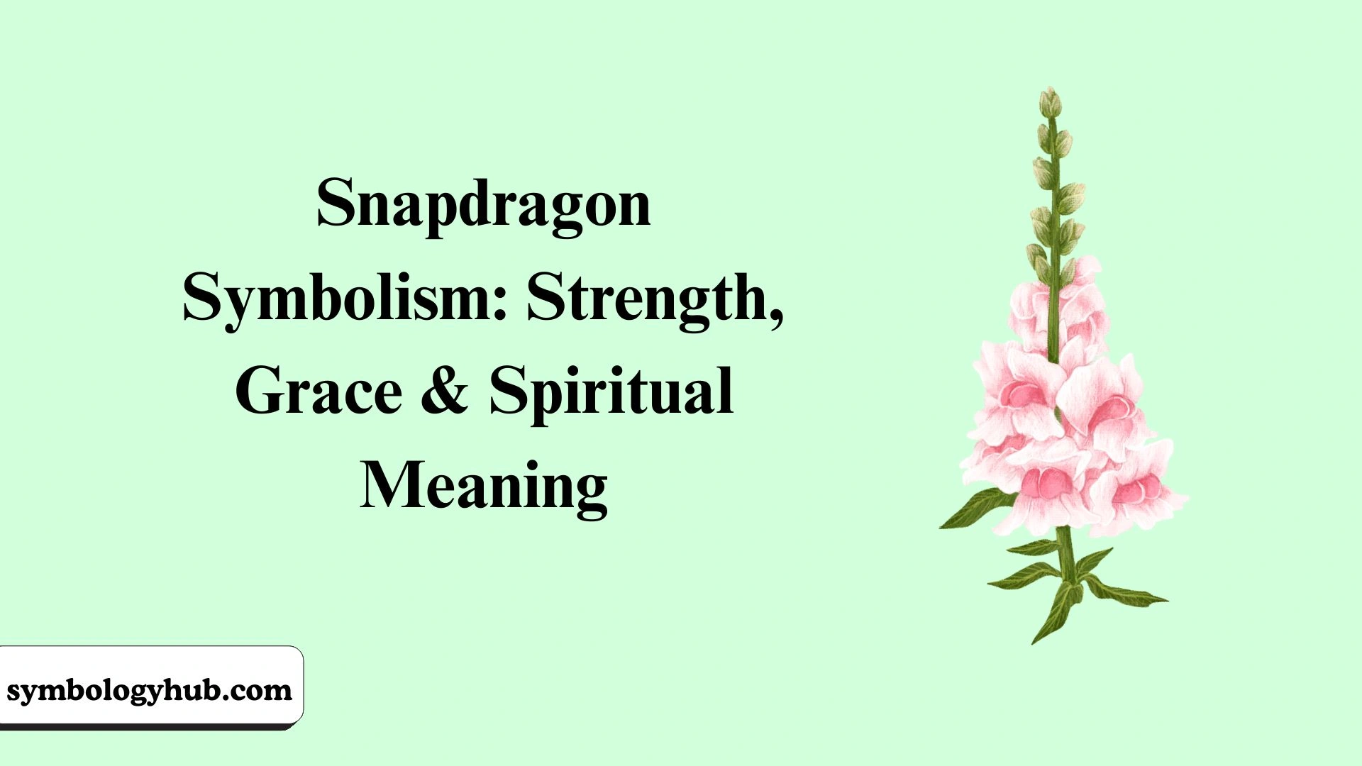 Snapdragon Symbolism