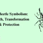 Stag Beetle Symbolism