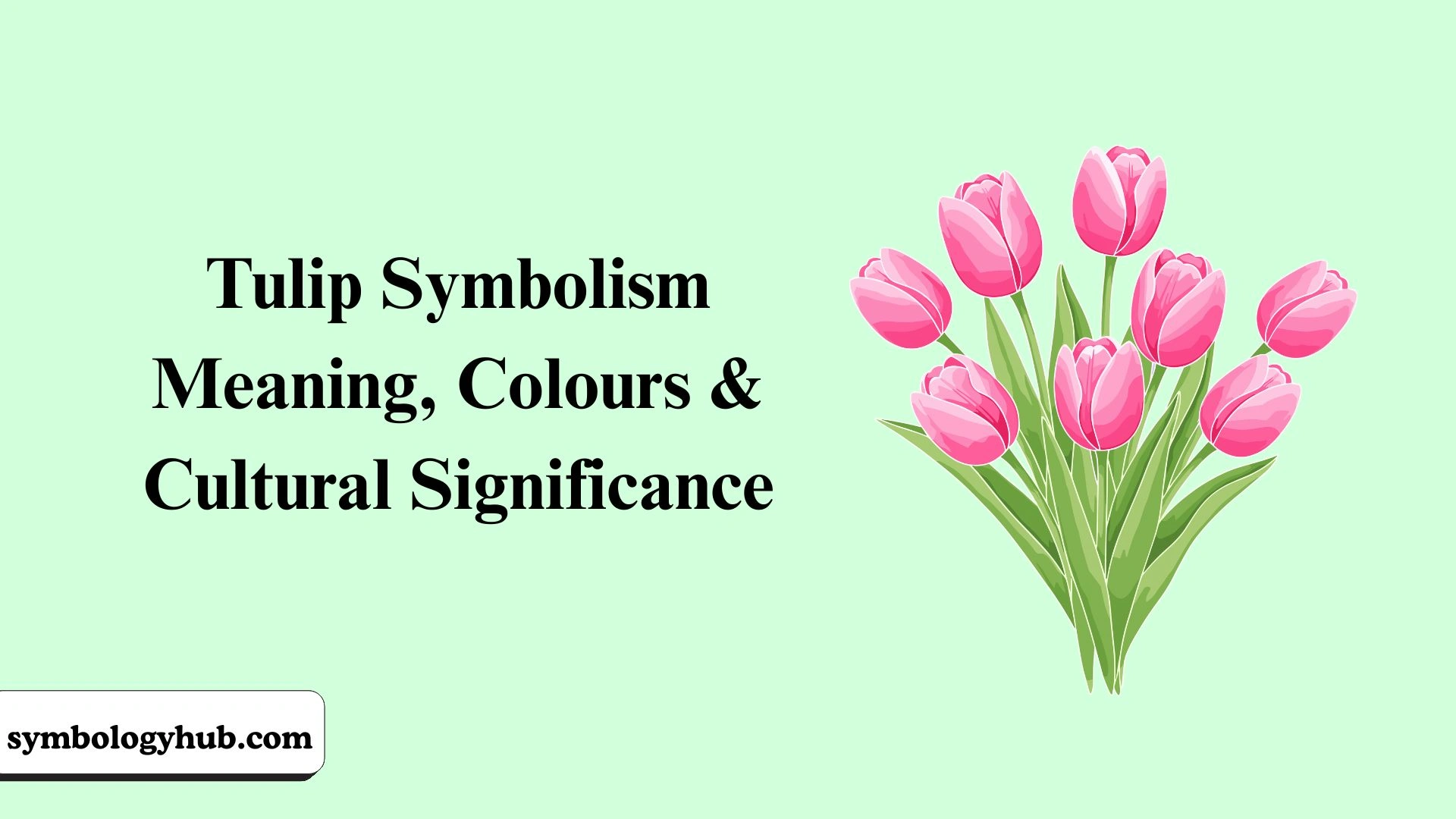 Tulip Symbolism Meaning