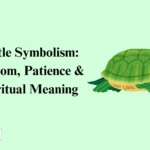 Turtle Symbolism