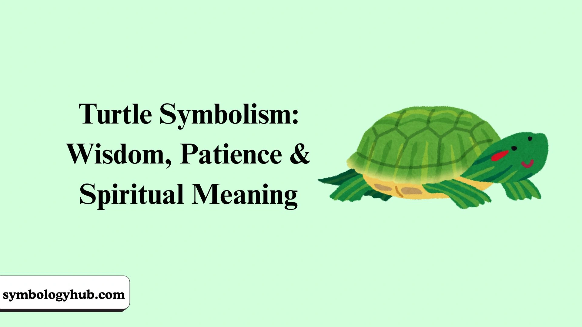 Turtle Symbolism