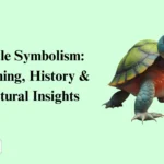 Turtle Symbolism