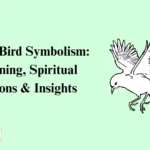White Bird Symbolism