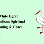 White Egret Symbolism