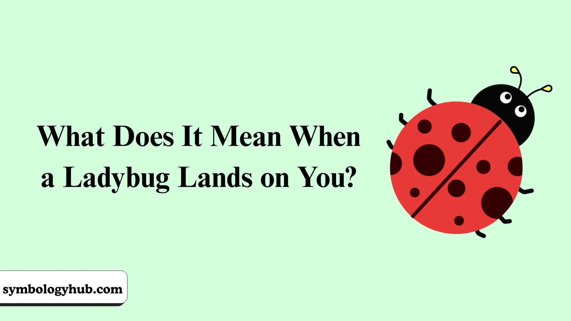 A Ladybug Lands on You Meaning