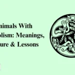 Animals With Symbolism