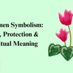 Cyclamen Symbolism