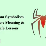 Dream Symbolism Spider