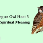 Hearing an Owl Hoot 3 Times Spiritual Meaning