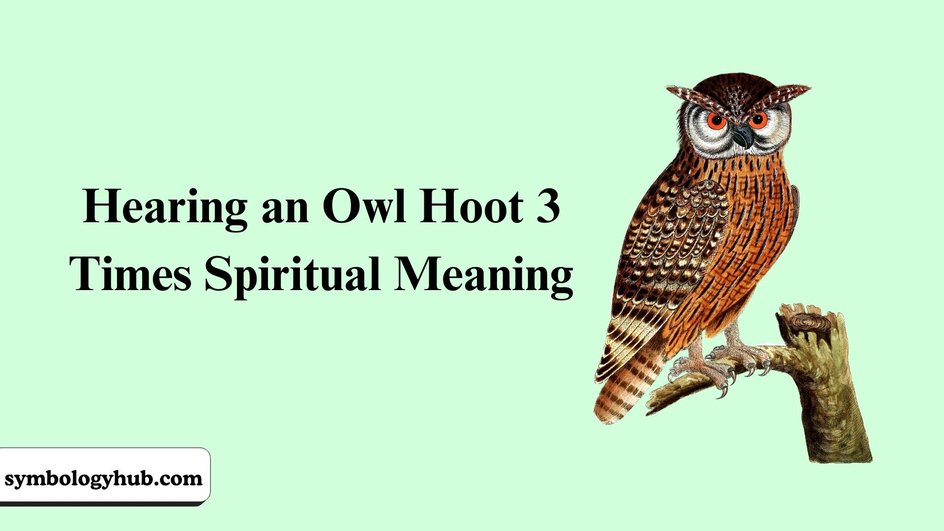 Hearing an Owl Hoot 3 Times Spiritual Meaning