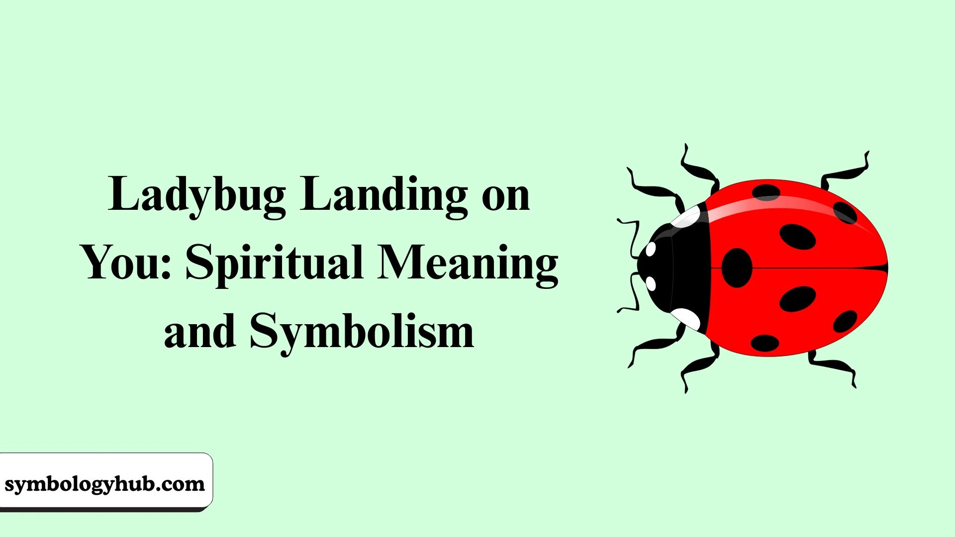 Ladybug Landing on You