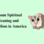 Possum Spiritual Meaning