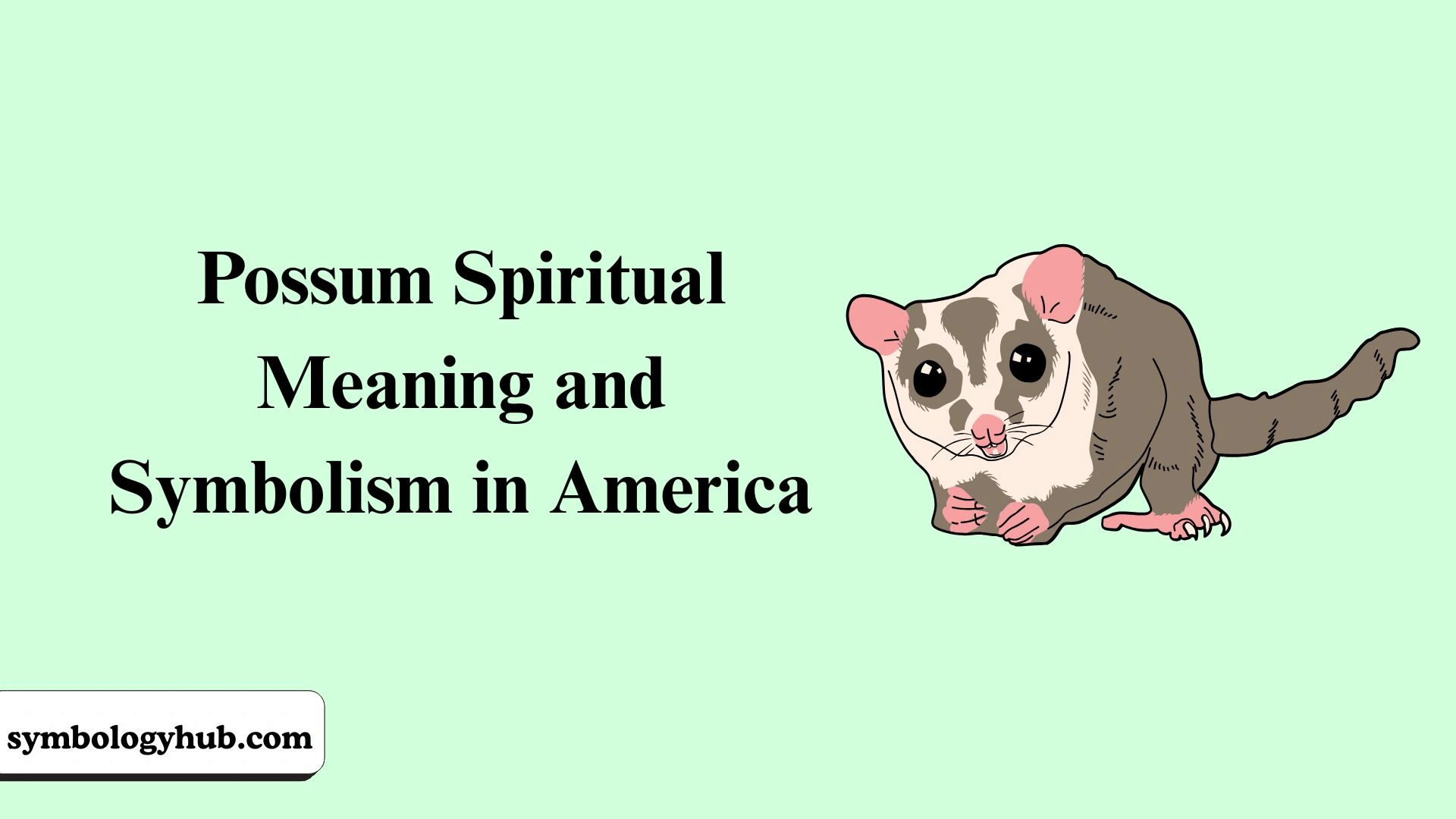 Possum Spiritual Meaning