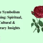 Rose Symbolism Meaning