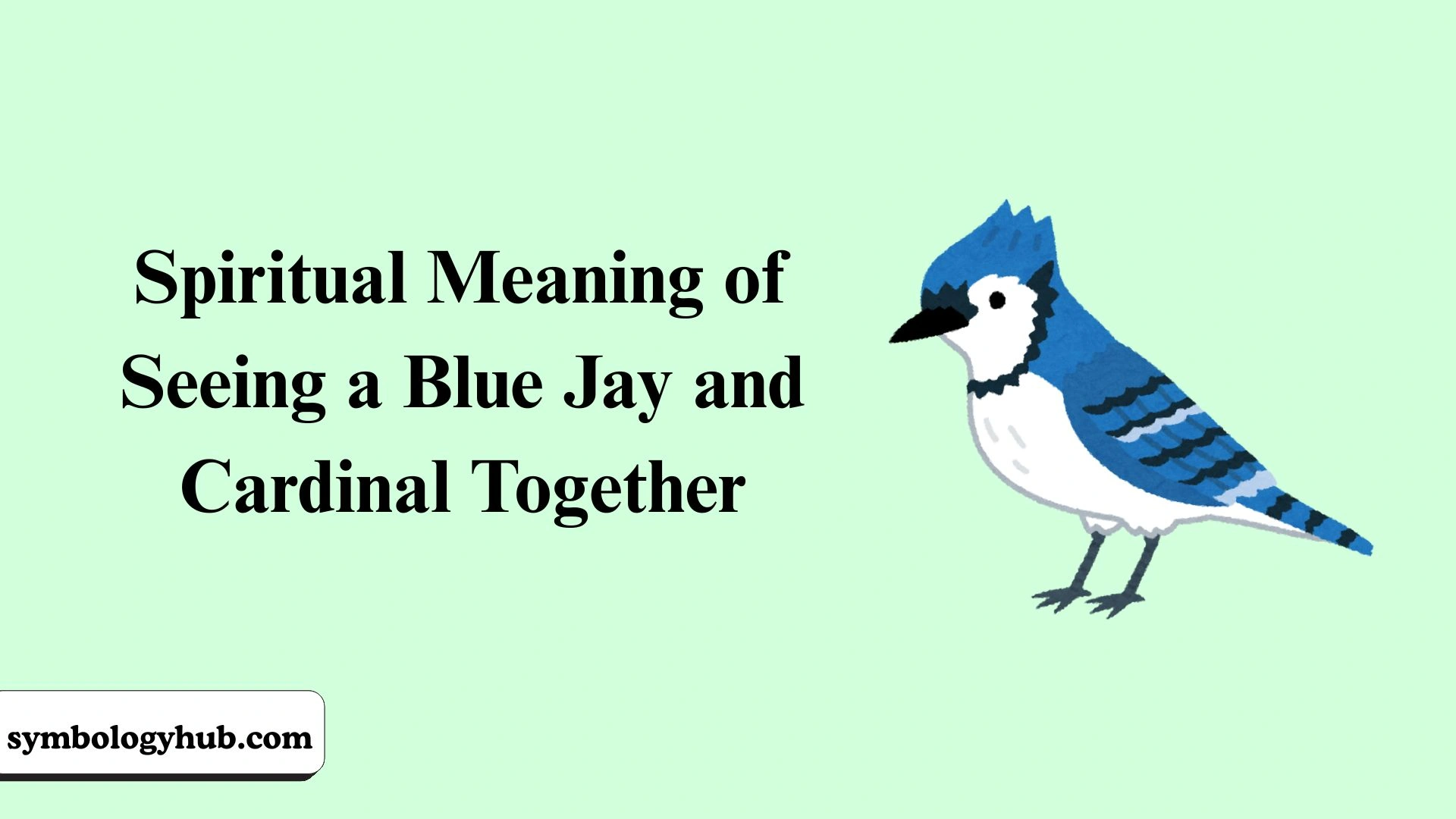Spiritual Meaning of Seeing a Blue Jay and Cardinal Together